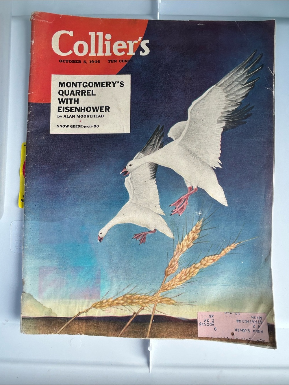 Collier's Vintage Magazine Cover — White Geese Illustration 1946